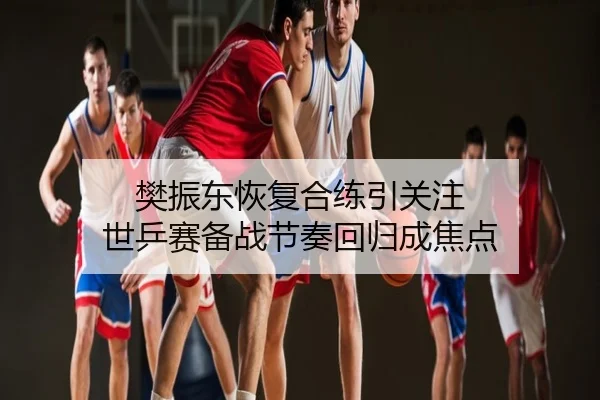 樊振东恢复合练引关注 世乒赛备战节奏回归成焦点