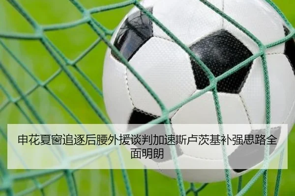 申花夏窗追逐后腰外援谈判加速斯卢茨基补强思路全面明朗